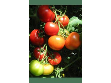 ����� ������ 14,30 ���..jpg