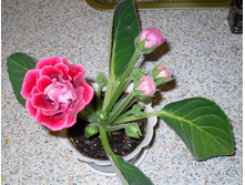 20.05.2010 �����