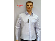 0118_12 ���� 520 �.