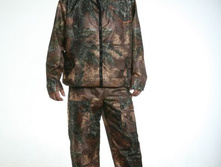 ������ �����, 660���.jpg