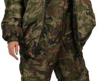 ������ �����, 1647 ���.jpg