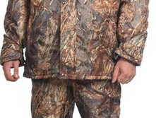 ������ �����, 1647 ���.jpg