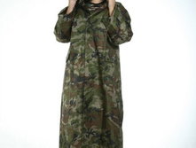 ���� �������, 725 ���.jpg