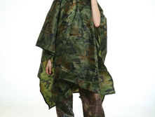 ���� �����, 403���.jpg