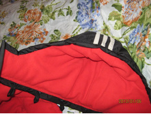 ���� � ����� 493.jpg