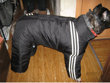 ���� � ����� 494.jpg