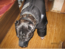 ���� � ����� 495.jpg