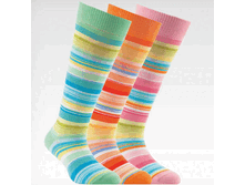 ������ 16