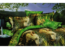 FDJ 3D ���������� ����� 2-� �������� 69.jpg