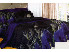 FDJ 3D ���������� ����� 2-� �������� 545.jpg