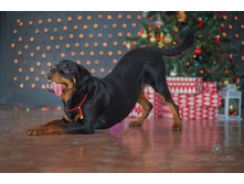 �������.���������� 14�.