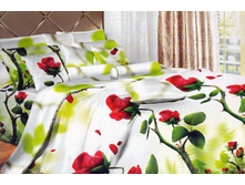 FDJ 3D ���������� ����� ���� 503.jpg