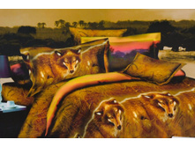 FDJ 3D ���������� ����� �������� 434.jpg