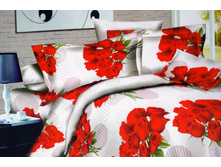 FDJ 3D ���������� ����� �������� 527.jpg