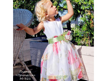 �-321 ���������