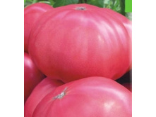 ����� ����� ������ ������  5,40 ���..jpg