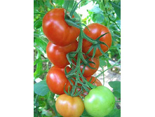 ����� ����� 11,00 ���..jpg