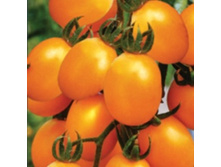 ����� ������   17,60 ���..jpg