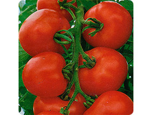 ����� �������� ����� 1+1     16,50 ���..jpeg