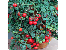 ����� ��������� ���� 20,00 ���..jpeg