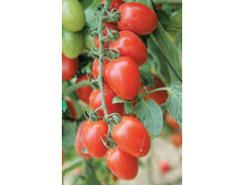 ����� ����� ������ 50,00 ���..jpg