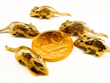 ����������� ����. ��������.