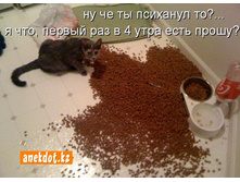 ���� ��������? ��� - � � ������ ��� � 4 ���� ���� �����?