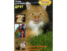 ����� ���� ��� �������� 8,20 ���..jpeg