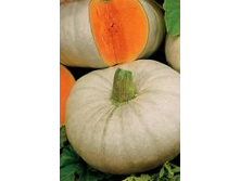 ����� ��������-���������� 11,00 ���..jpg