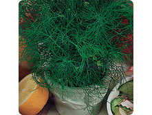 ����� ������� ��� 6,00 ���..jpeg