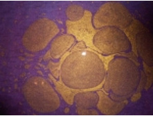 17B-21_�������_168+%