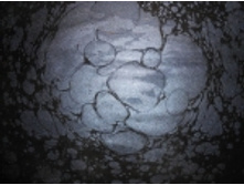 17B-20_����������_168+%