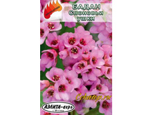 ����� ����� �������� ����  10,70 ���..jpg