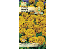 ����� �������� ������ ������ ����� 11,00 ���..jpg