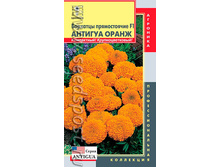 ����� �������� ������� �����  F1 17,80 ���..jpeg