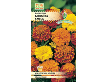 ����� �������� ������� 11,00 ���..jpg