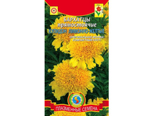 ����� �������� ������� �������-������ 5,40 ���..jpg