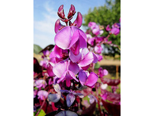 ����� ���� ����������� ��������� ���� 11,00 ���..jpg