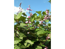 ����� ������� ������������  7,70 ���..jpg