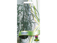 ����� ���������� ������� (����) 11,00 ���..jpg