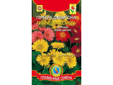 ����� ������� ��������, ����� 11,00 ���..jpeg