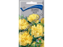 ����� �������� �������� ������ 5,50 ���..jpg