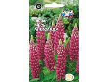 ����� ����� ����� ��������� ������� 13,50 ���..jpg