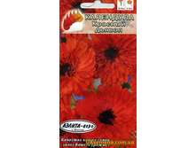 ����� ��������� ������� ������ 6,40 ���..jpg