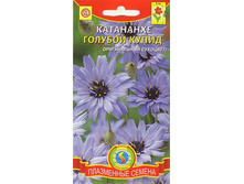 ����� ��������� ������� ����� 5,40 ���..jpg