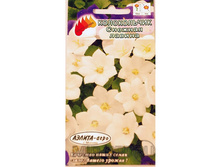 ����� ����������� ������� ������ 10,30 ���..jpg