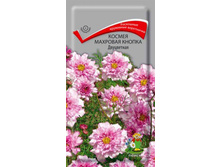 ����� ������ �������� ������ ���������� 13,00 ���..jpg