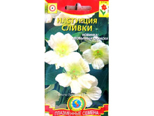 ����� ��������� ������ 8,00 ���..jpg