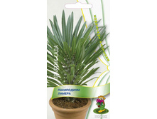 ����� ���������� ������ 10,90 ���..jpg