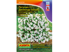 ����� ������� �������� F1 �����  28,10 ���..jpg